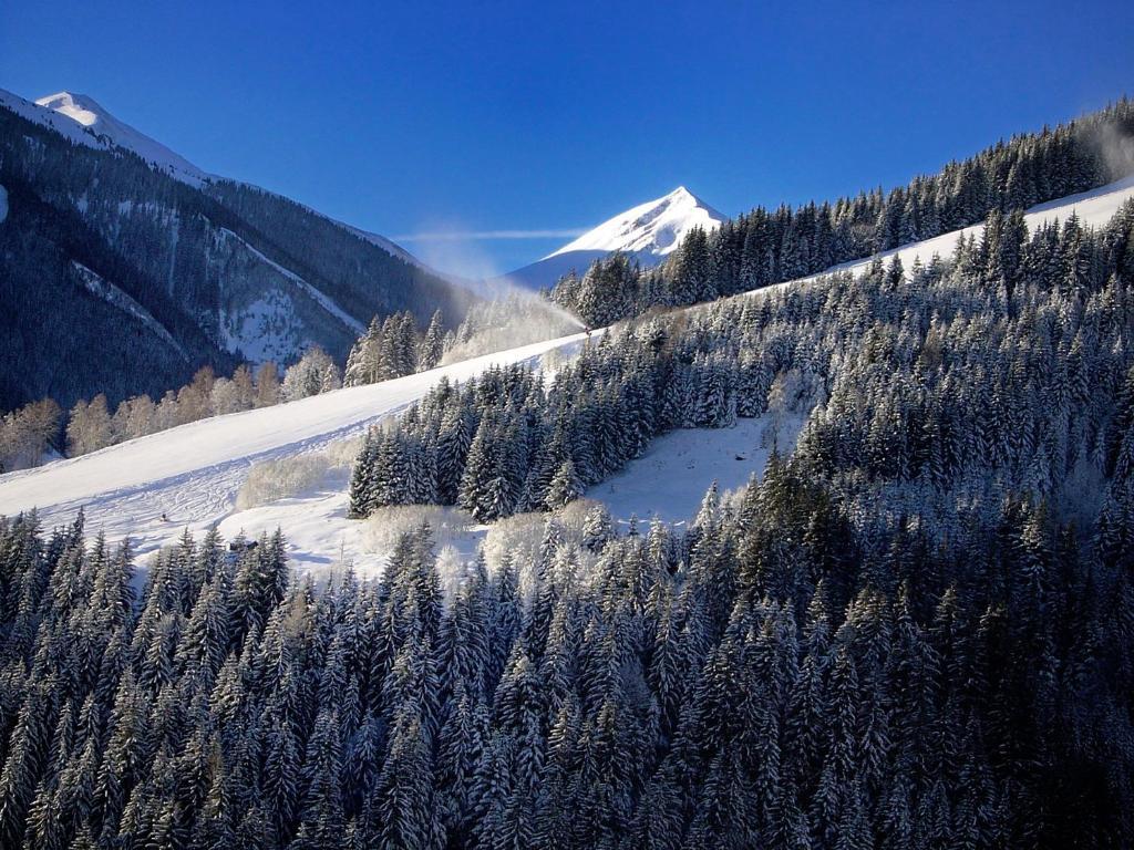 Mh Appartement Hochwimmer Saalbach-Hinterglemm Buitenkant foto